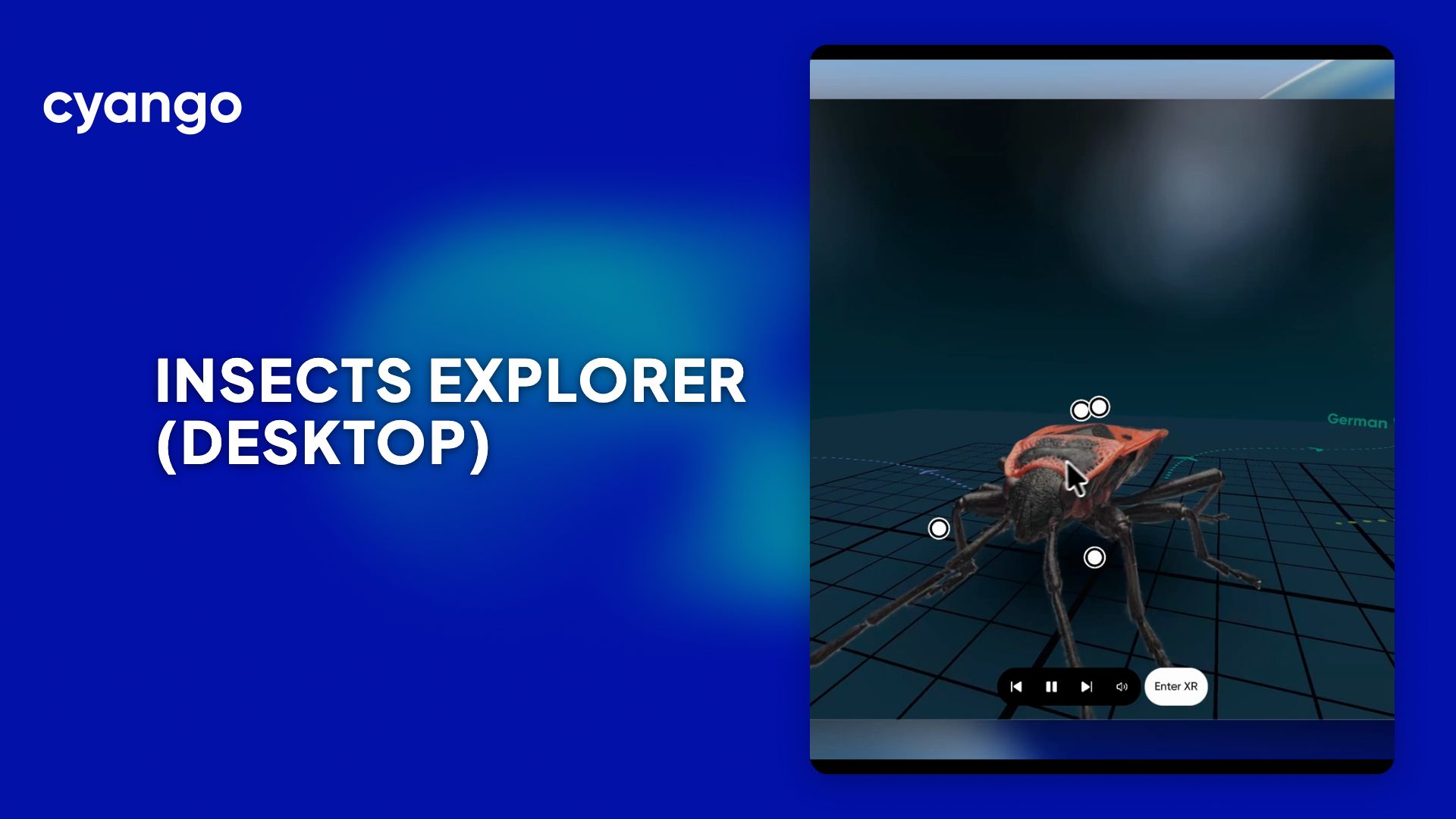 3D Gaussian Splat insects explorer on desktop in the browser - Learn