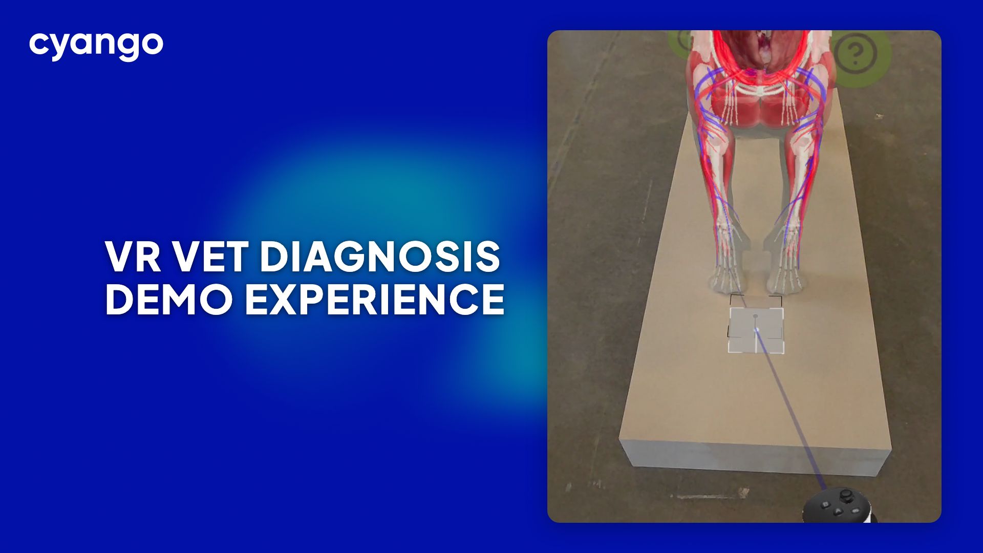 VR Vet Diagnosis Demo - Learn